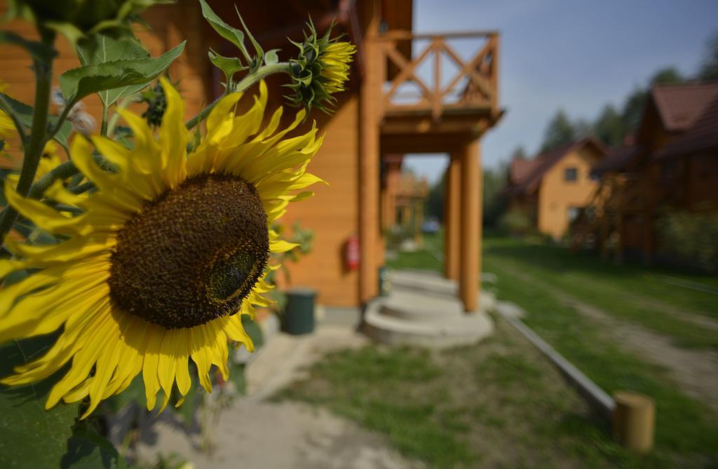 Hotel Osrodek Wypoczynkowy Ranczo à Okuninka Extérieur photo